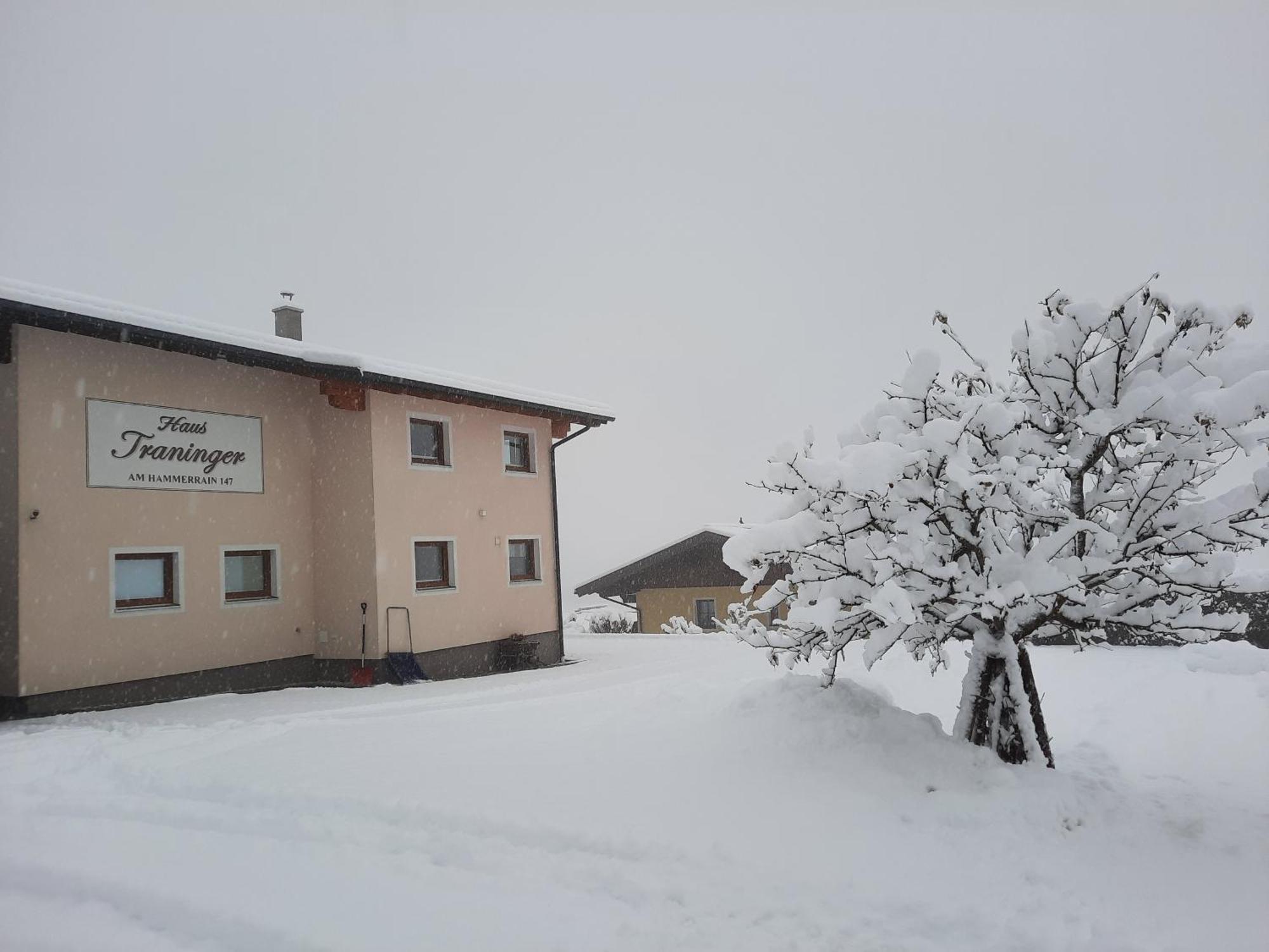 Appartement Haus Traninger à Flachau Extérieur photo